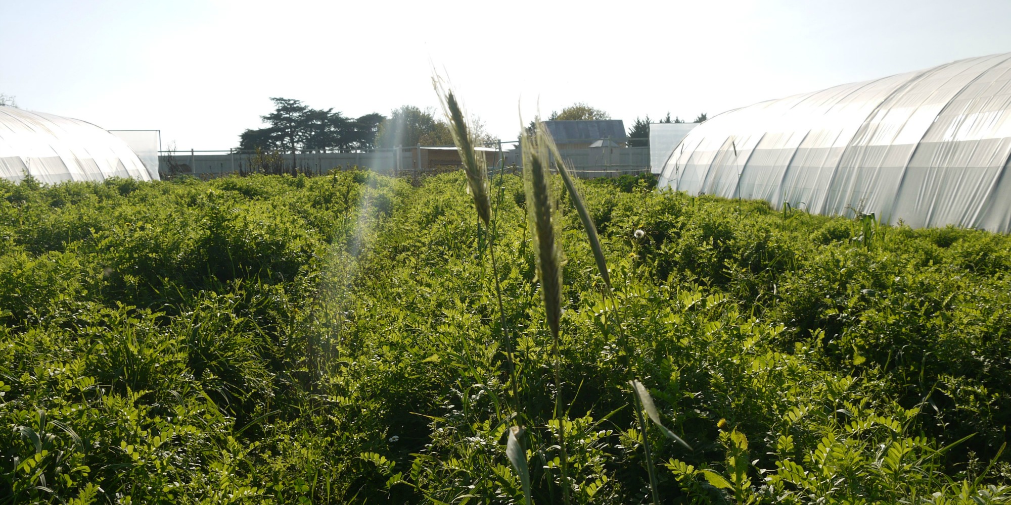 La microferme de la Bourdaisière sème l’agriculture de demain Makery