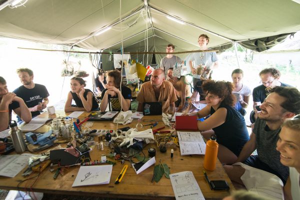 Liberatory laboratories: a feral future for art-science collaborations