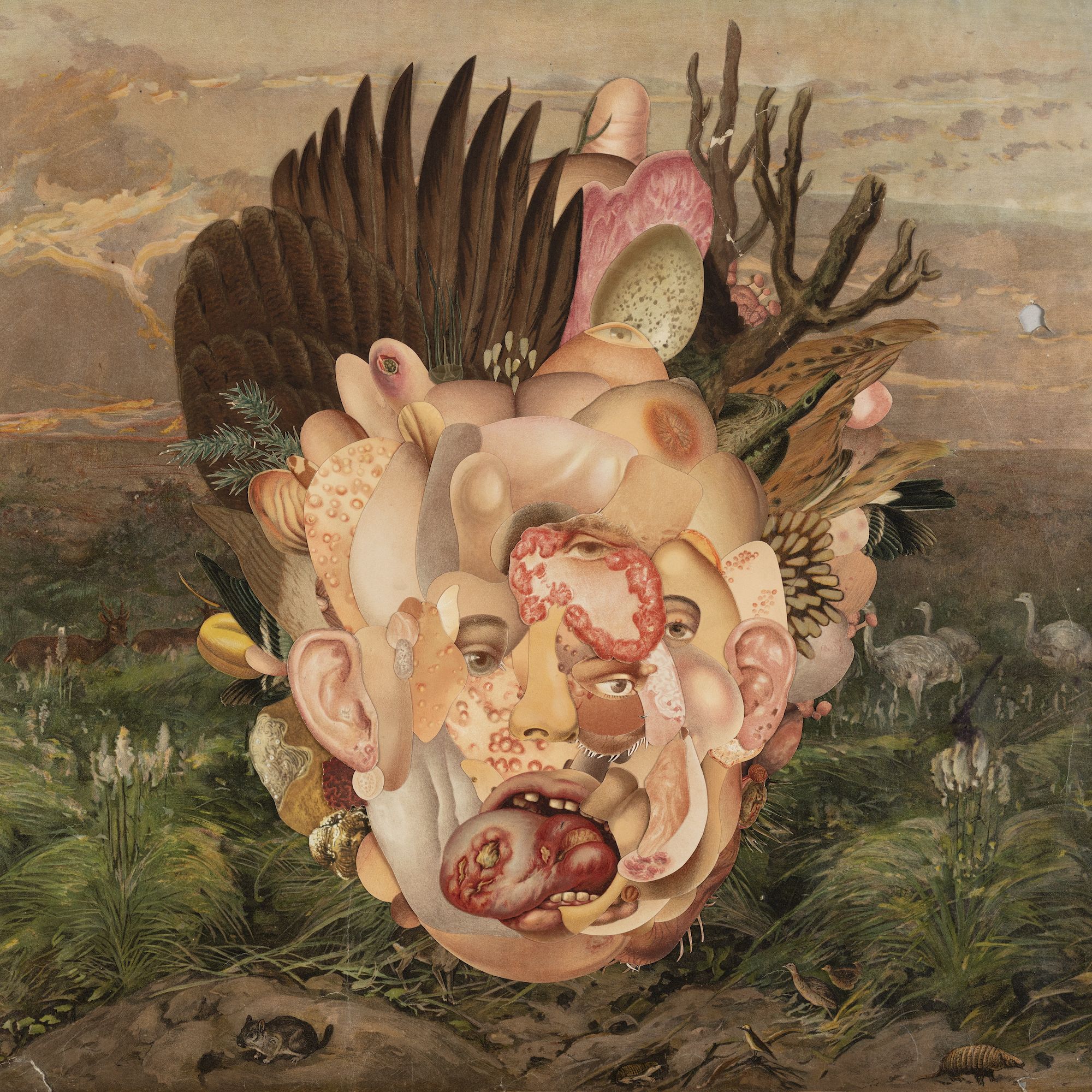 The Port as Stomach: embodying the city as a physical metaphor