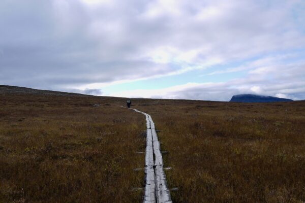 Field Notes : en Laponie, recalibrer ses mesures et observations de l’environnement
