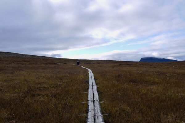 A narrow path in the Great North. © Elsa Ferreira