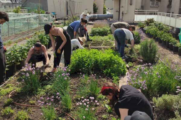 Agriculture urbaine : le discours de la « French Method »